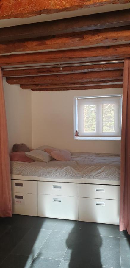 Studio Montagne Cerdagne A Saillagouse Dış mekan fotoğraf