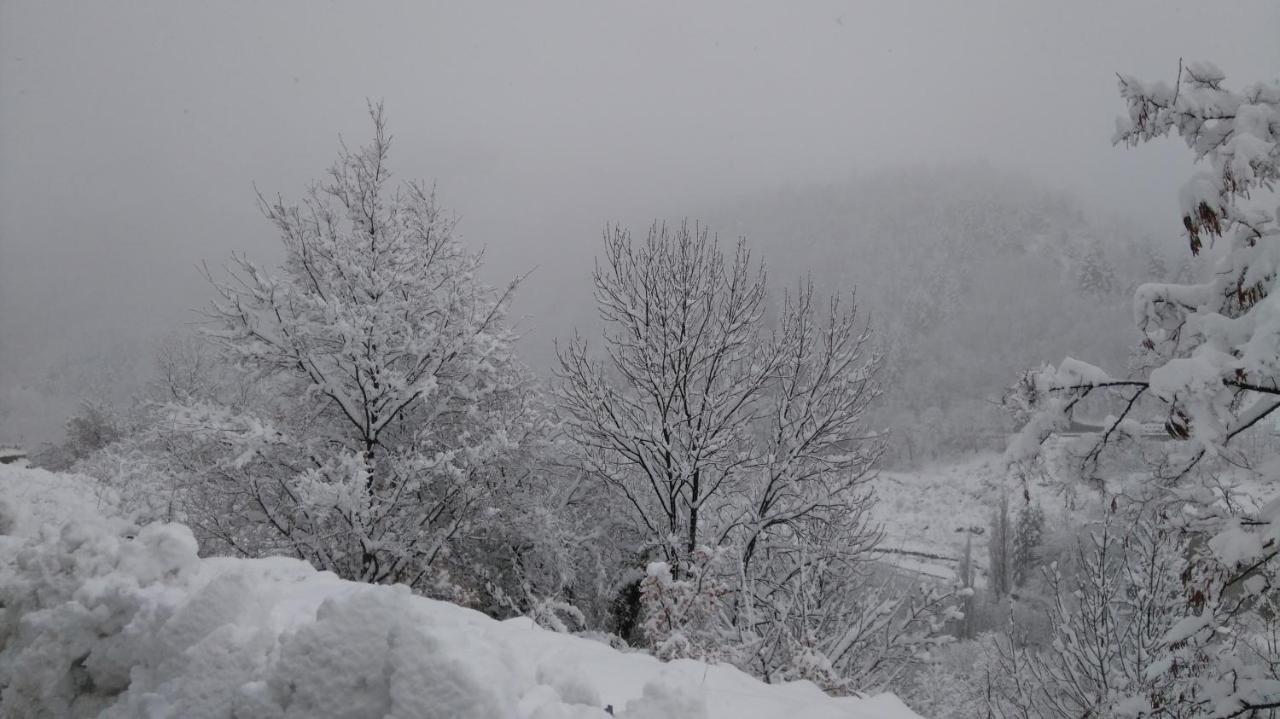 Studio Montagne Cerdagne A Saillagouse Dış mekan fotoğraf